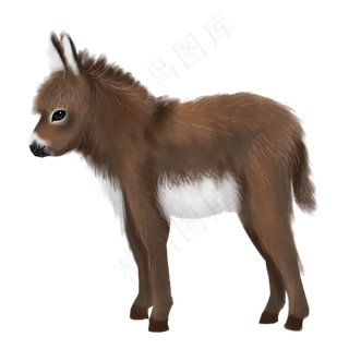 可爱动物毛驴,免抠元素