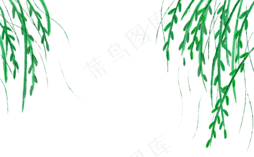 清明节春天绿色柳叶