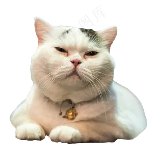 困得不行的猫咪,免抠元素
