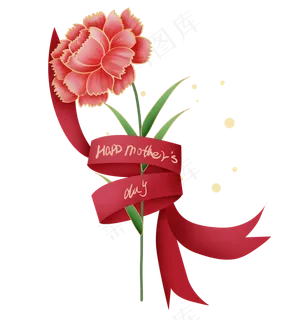 母亲节礼物康乃馨花朵