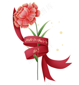 母亲节礼物康乃馨花朵