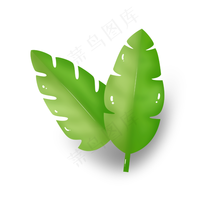 两片绿叶卡通插画