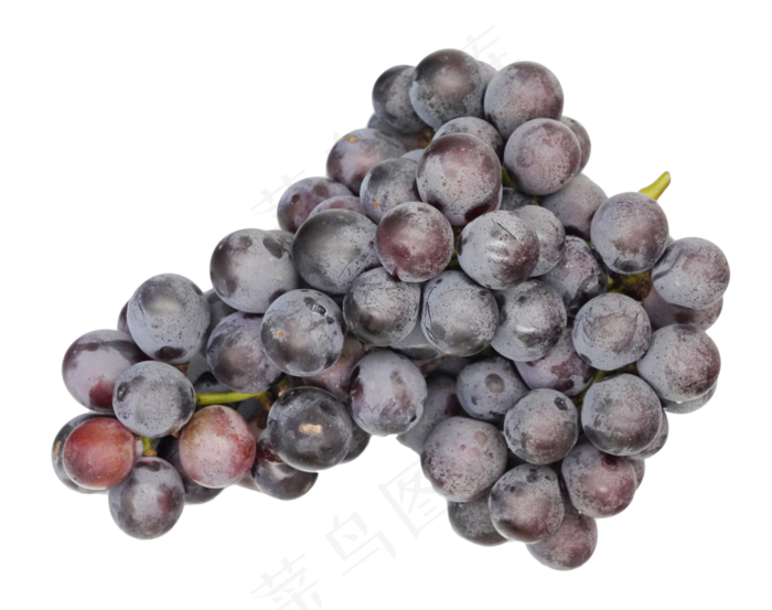 新鲜巨峰葡萄
