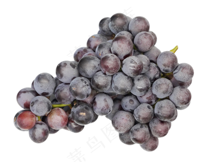 新鲜巨峰葡萄