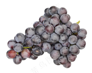 新鲜巨峰葡萄