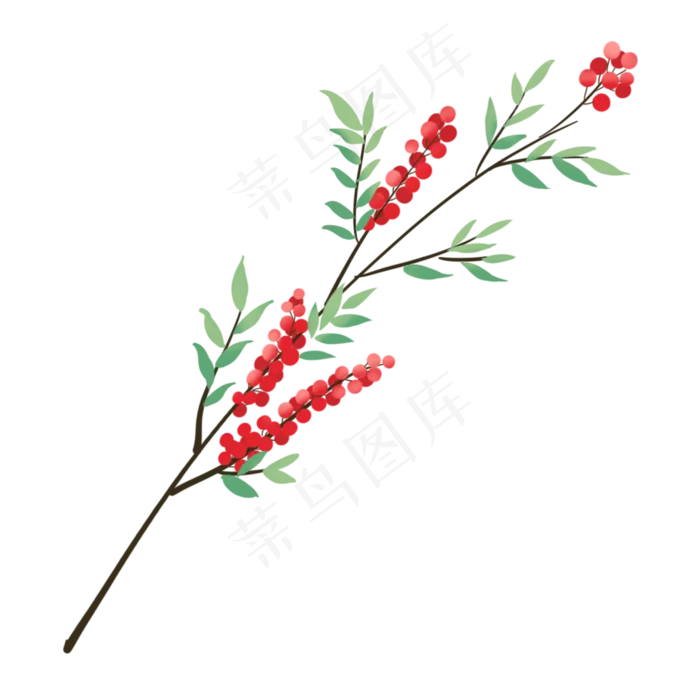 手绘植物小清新枝芽冬青果(2000X2000(DPI:300))psd模版下载