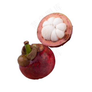 一个半山竹（png免抠）