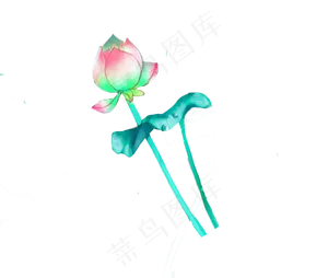 一朵荷花