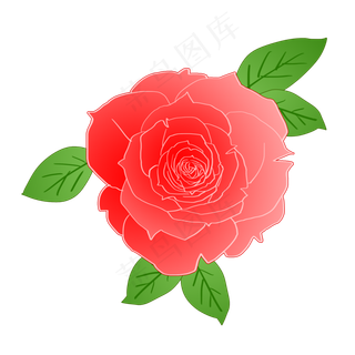 浪漫情人节粉色花朵