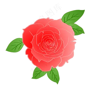 浪漫情人节粉色花朵