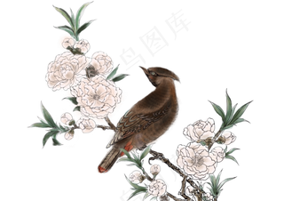 中国风水墨花鸟,免抠元素
