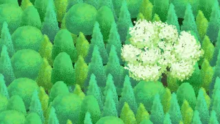 清新绿色系夏天森林