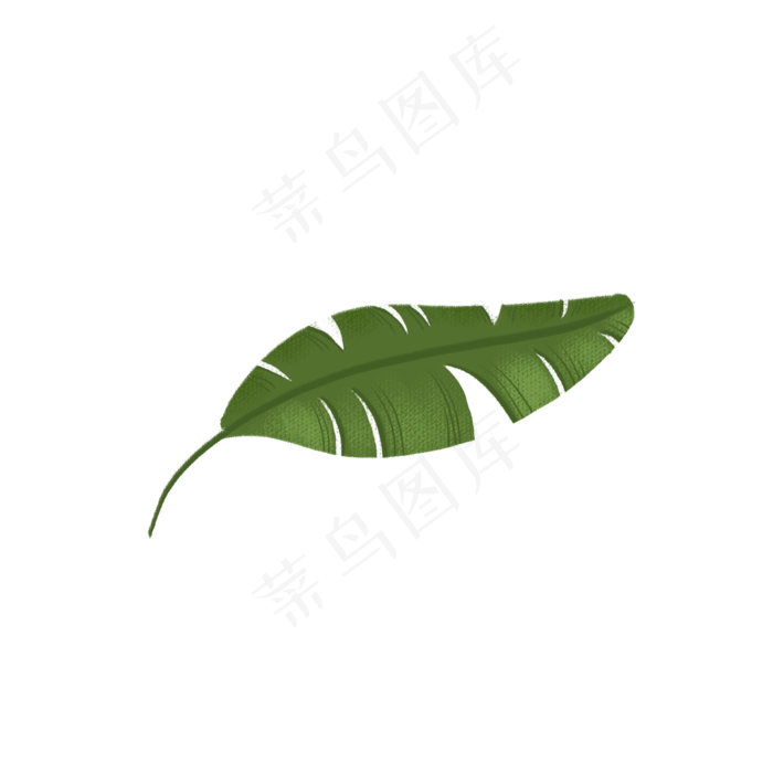 春天植物绿叶下载(2000X2000(DPI:300))psd模版下载