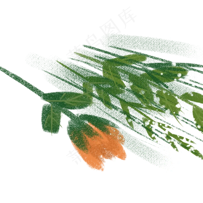 一枝漂亮的玫瑰花免抠图(2000X2000)