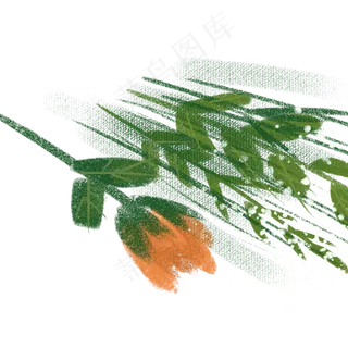 一枝漂亮的玫瑰花免抠图