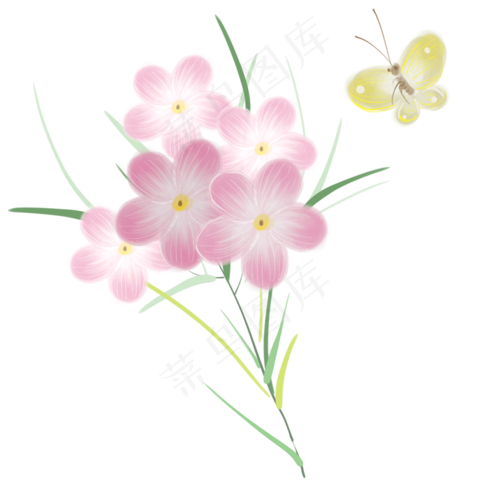 粉色花和菜粉蝶