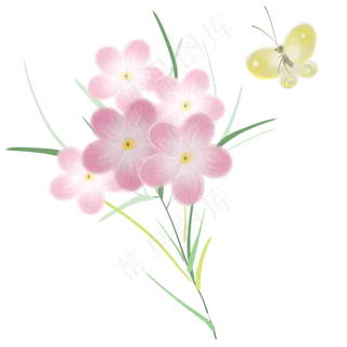 粉色花和菜粉蝶 粉色花和菜粉蝶