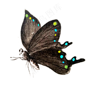 水墨蝴蝶国画墨色PNG,免抠元素