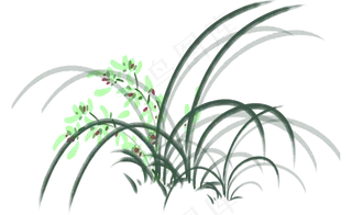 中国风水墨兰花