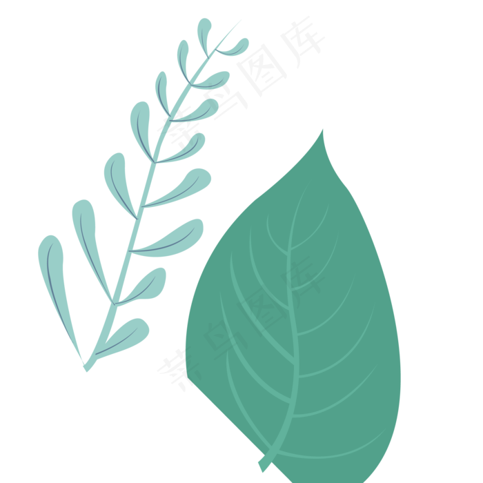 叶子绿色春季植物