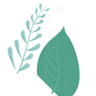 叶子绿色春季植物