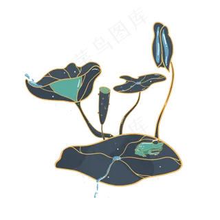 节气清凉夏天荷叶莲花