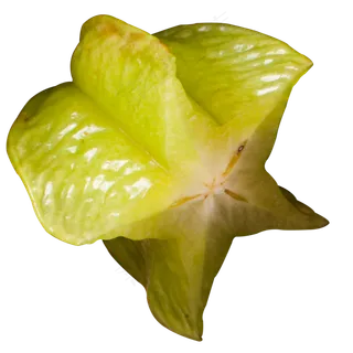 实拍果园果树水果杨桃