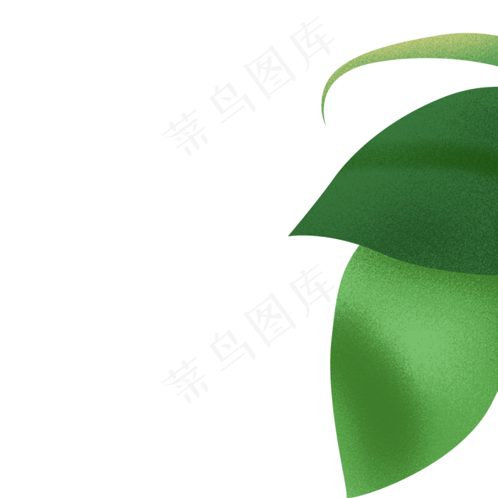 绿色植物叶子下载(2000X2000(DPI:300))psd模版下载