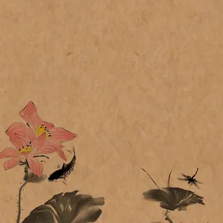 褐色荷花化妆品直通车