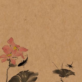 褐色荷花化妆品直通车