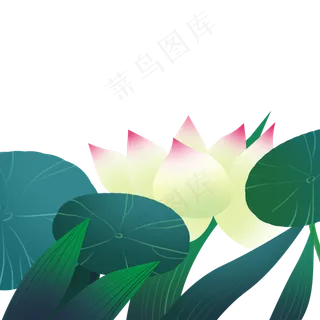 绿色植物荷花元素