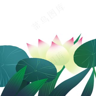 绿色植物荷花元素