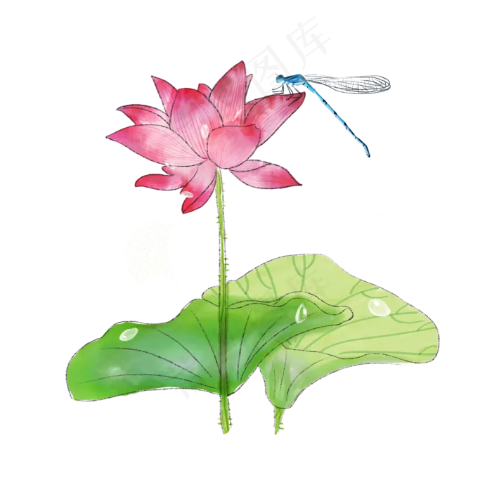荷花莲花荷叶蜻蜓PNG水彩夏日(2000X2000(DPI:300))psd模版下载