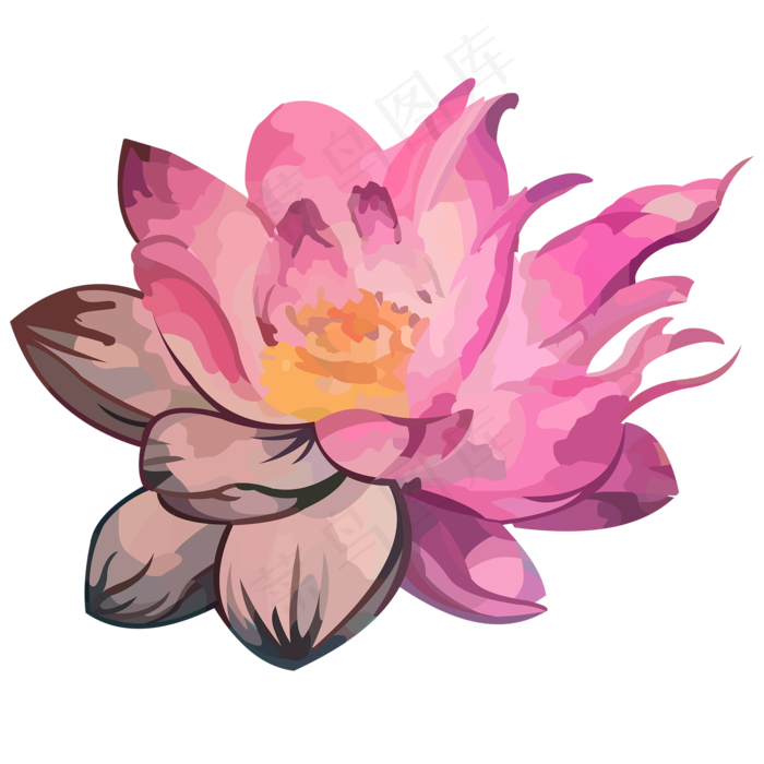 手绘植物花朵粉色荷花矢量素材