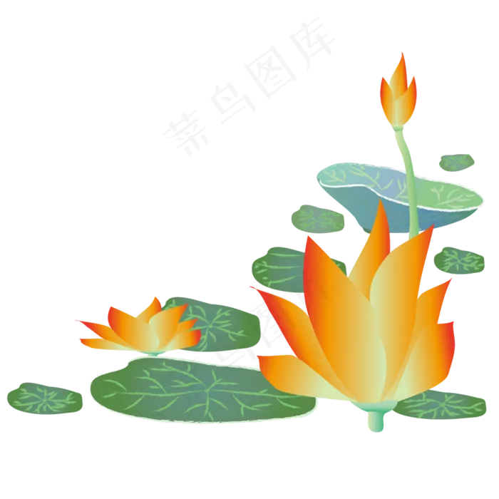 夏天荷花美丽(2000X2000(DPI:300))ai矢量模版下载