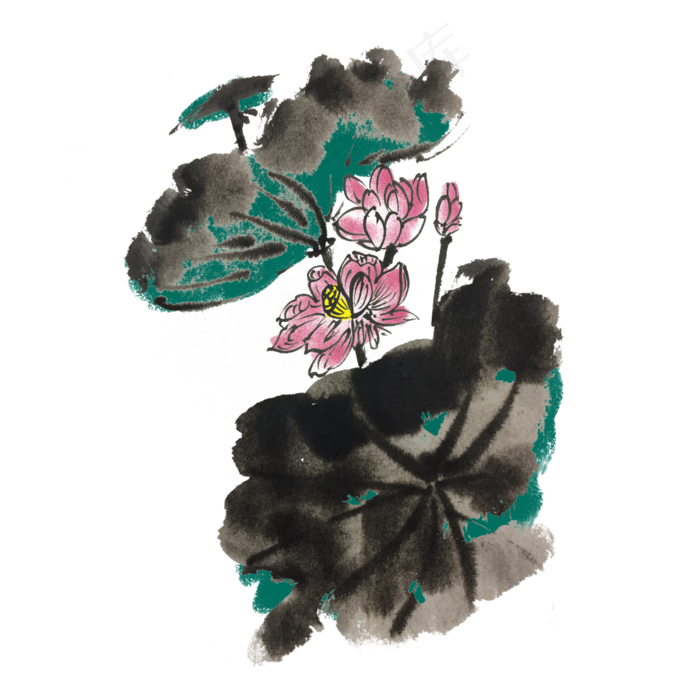 夏天水墨芙蓉手绘插画
