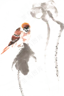 小鸟荷花水墨画PNG免抠素材