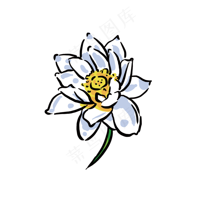 一朵盛开的荷花插画