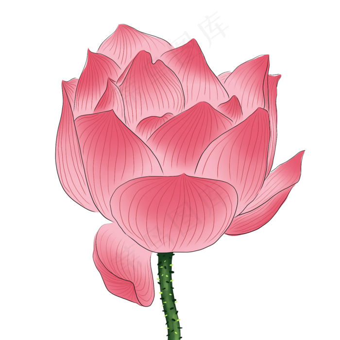 手绘花荷花元素分层国画中国风花