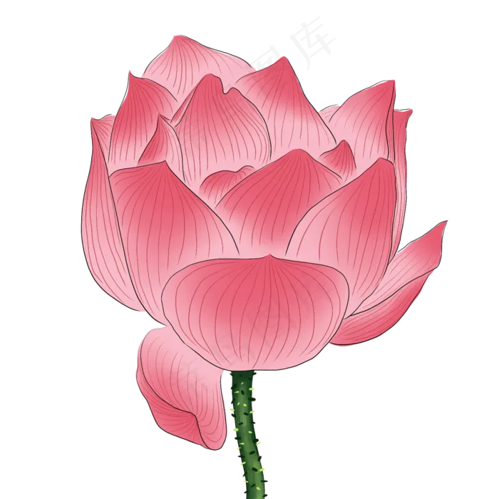 手绘花荷花元素分层国画中国风花(2000X2000(DPI:300))psd模版下载