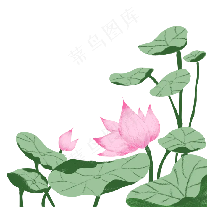 夏季节气荷花荷叶(2000X2000(DPI:300))psd模版下载