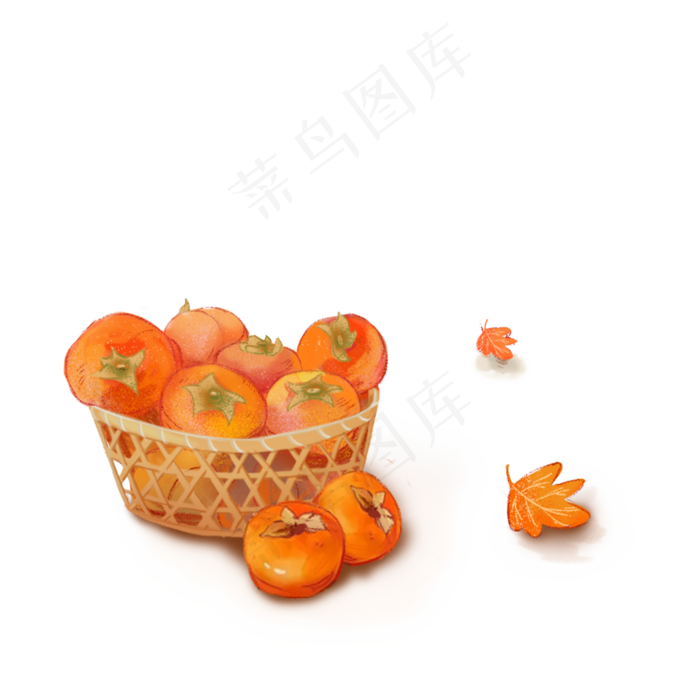 秋季柿子和落叶设计可商用元素