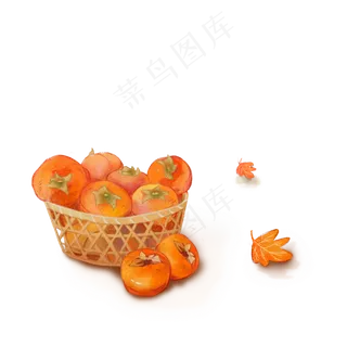 秋季柿子和落叶设计可商用元素