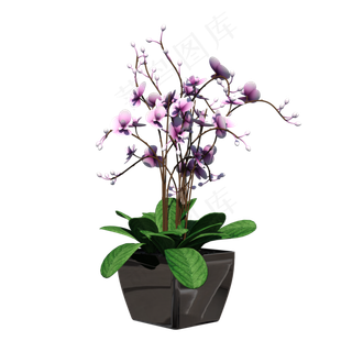 家居生活装饰花盆植物摆设