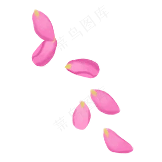 漂浮玫瑰花瓣