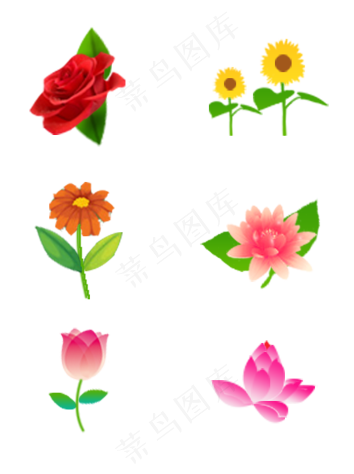 花朵玫瑰向日葵荷花郁金香花元素
