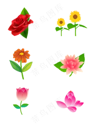 花朵玫瑰向日葵荷花郁金香花元素