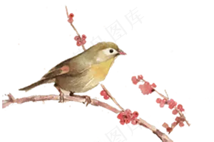 梅花枝头小鸟