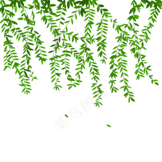 清明节横向漂浮柳条