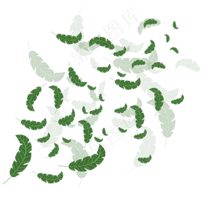手绘植物树叶漂浮的叶子